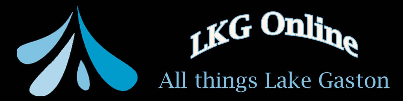 Logo LKG Online